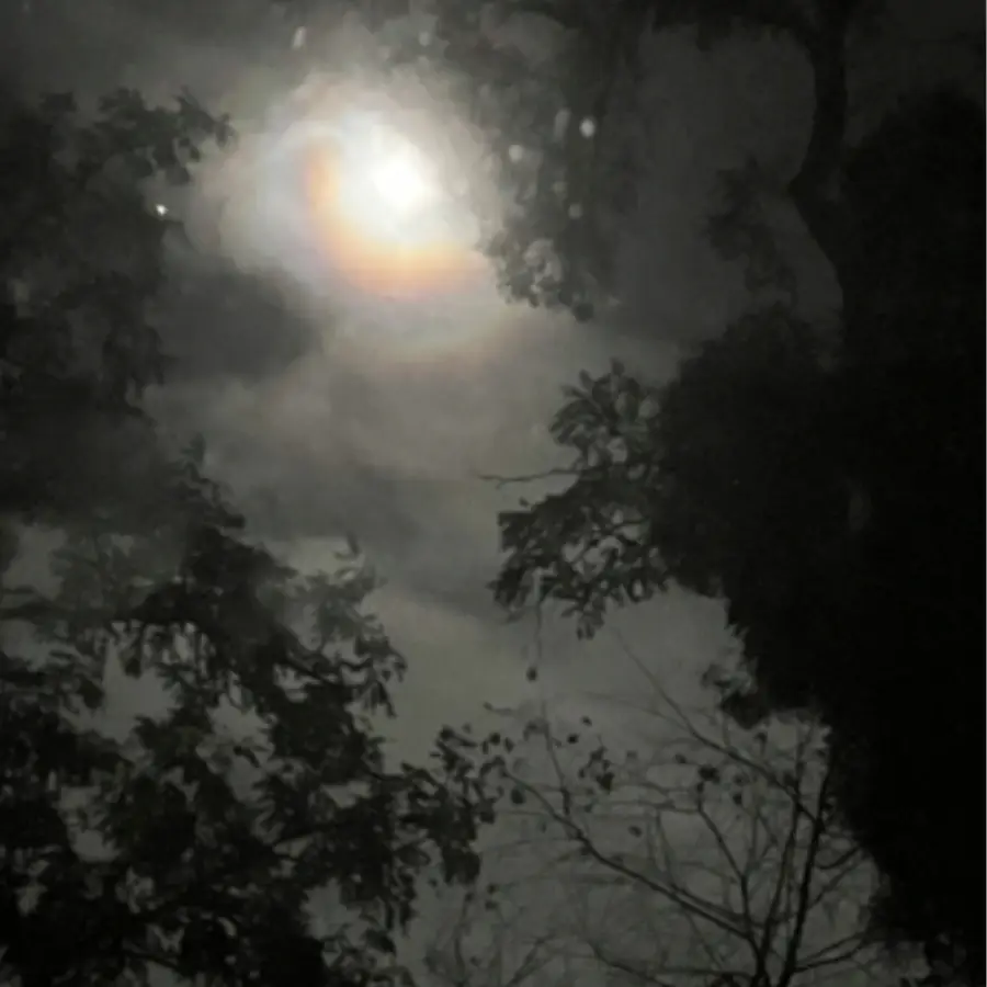 Mond mit Halo durch Wolken und Baumkronen - Visualisierung zur Veranstaltung "Returning the Moon" in der Muschelgrotte Potsdam